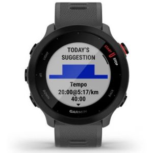 Pametni sportski sat Garmin Forerunner 55 Monterra Grey