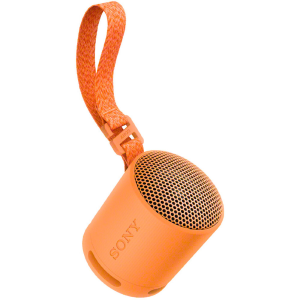 Zvučnik prijenosni Bluetooth Sony SRS-XB100/D