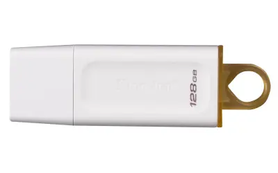 USB STICK KINGSTON FD 128GB USB3.2 Exodia