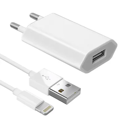 Punjač za iPhone 1A 5W s USB-A na Lightning kabelom 1m