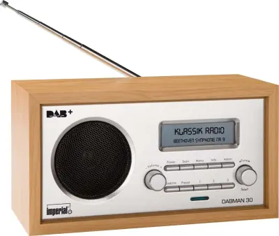 Radio DAB+ / FM drvena s pozadinskim osvjetljenjem i funkcijom alarma DABMAN 30