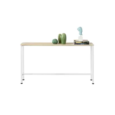 Konzolni Stol Modernog Dizajna s Podešavajućim Nogtima 120x20x65cm FSB19-Z