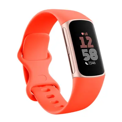 Fitbit Charge 6, narančasta/šampanjsko zlatna