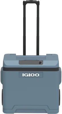 IGLOO IE42 ACDC 12/230V električna torba za hlađenje