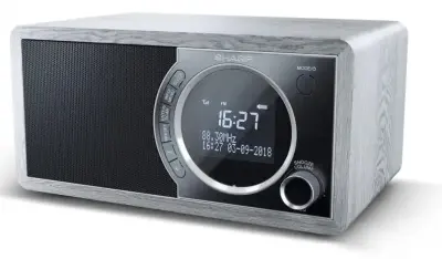 SHARP DR-450 GR digitalni radio, sivi