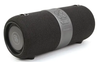 GoGEN Bluetooth prijenosni zvučnik BS420B