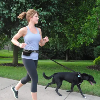 Hands Free Dog Leash with Waist Bag Crna