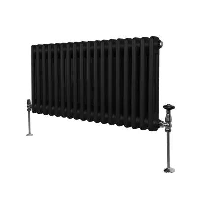 Tradicionalni radijator s 2 stupa - 300 x 832 mm - crni