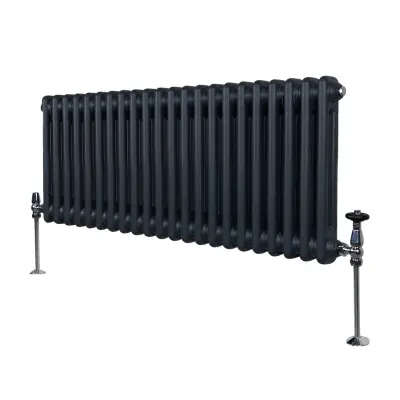 Tradicionalni radijator s 2 stupa - 300 x 1012 mm - antracit sivi
