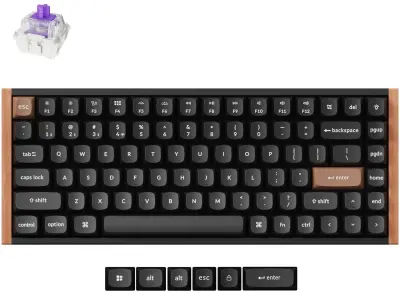 Tipkovnica Keychron K2H-F1 Black Wooden RGB