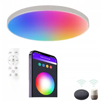24W pametna LED WiFi nadgradna svjetiljka 32cm RGBCW Tuya Alexa Google asistent