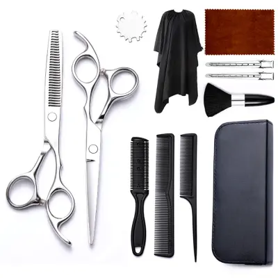 Deluxe set škara za šišanje kose od 12 komada Srebrna