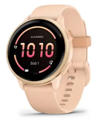 Fitness Garmin Vivoactive 6 Pink Dawn/P. Dawn Metallic