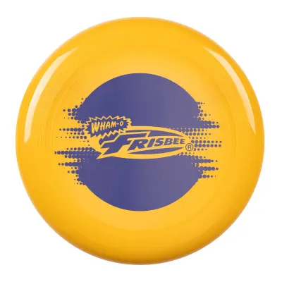 Frisbee leteći disk, 25,27 cm lagana igračka za djecu i tinejdžere 5+ godina, za vanjsku igru na plaži, parku i dvorištu – 130 g