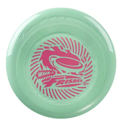 Frisbee leteći disk, 22,86 cm lagana igračka za početnike i djecu 5+ godina, za vanjsku igru na plaži, parku i dvorištu – 70 g