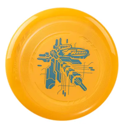 Frisbee leteći disk, 22,86 cm lagana igračka za početnike i djecu 5+ godina, za vanjsku igru na plaži, parku i dvorištu – 70 g