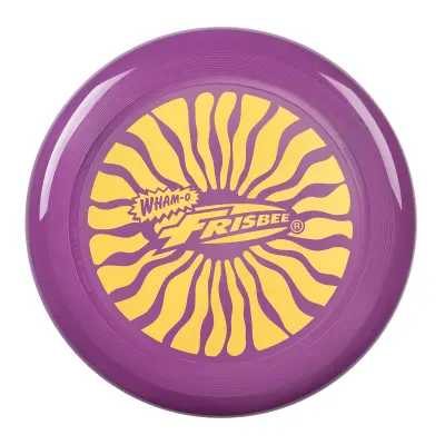Frisbee leteći disk, 25,27 cm lagana igračka za djecu i tinejdžere 5+ godina, za vanjsku igru na plaži, parku i dvorištu – 130 g
