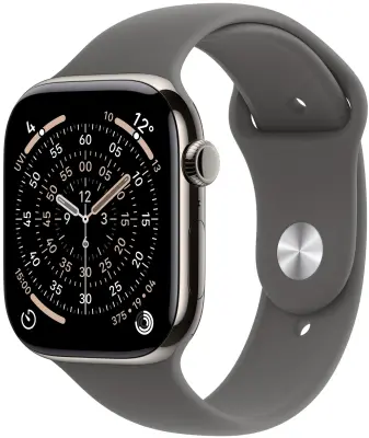 Apple Watch Series 11 Cellular 46mm Natural Titanium Case with Stone Grey Sport Band - M/L