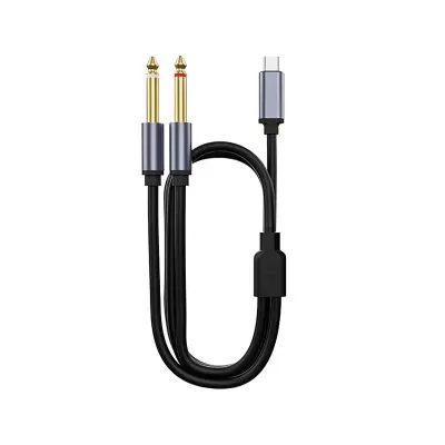 Type-C na Dual 6.5mm Audio Kabel - Povežite svoje uređaje zvukom visoke kvalitete Siva
