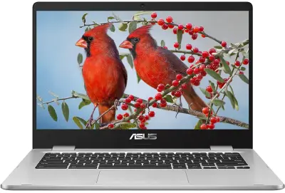 Otvorena ambalaža - Laptop ASUS ChromeBook C424MA-BV0305 / Intel® Celeron® / RAM 4 GB / 14,0'' HD