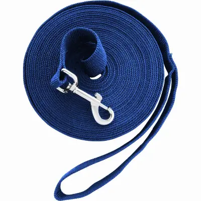 6m Outdoor Training Pet Leash - Long Dog Obedience Recall Lead Plava