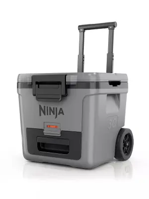 Rashladna kutija Ninja FB230EUGY FrostVault 28 L