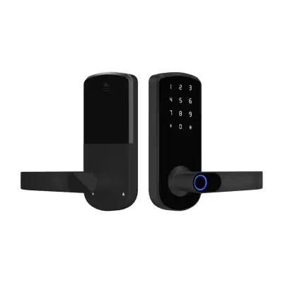 Pametna brava s otiskom prsta Tuya - TTLock Bluetooth biometrijska bezključna brava za dom, stan, hotel, školu Crna