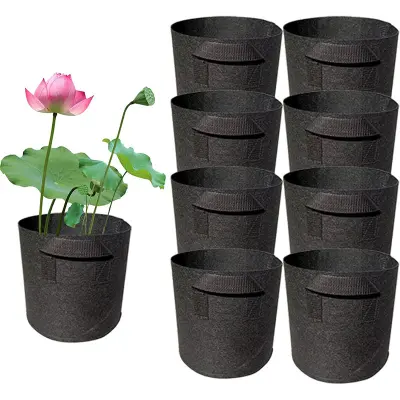 Saksija za vodene biljke 2 galona - set od 8 kom (7.8x7.8in)