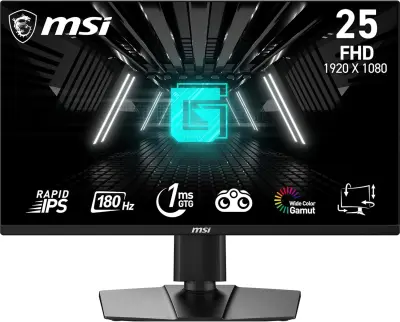 Otvorena ambalaža - Monitor MSI G255PF E2