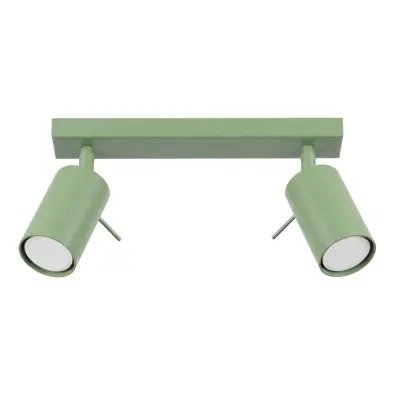 Stropna lampa RING 2 kadulja