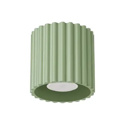 Stropna lampa AURA 1 kadulja GU10