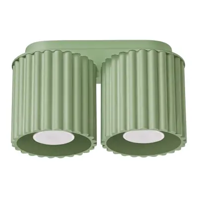 Stropna lampa AURA 2 kadulja GU10