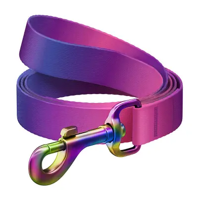 WAUDOG Gradient najlonski povodac za pse, 20 mm, 122 cm, ljubičasti
