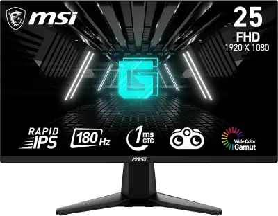 Otvorena ambalaža - MSI G255F
