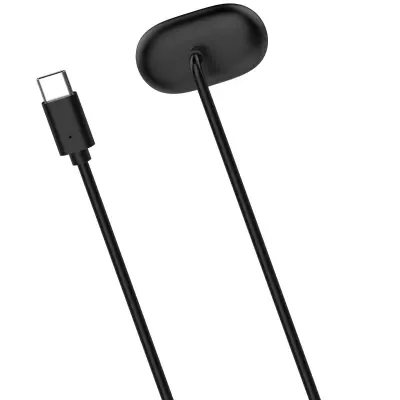 Magnetski kabel za punjenje Fitbit Air, Type-C, 100cm Black
