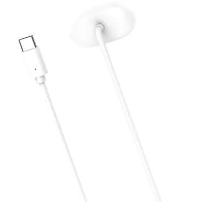 Magnetski kabel za punjenje Fitbit Air, Type-C, 100cm White