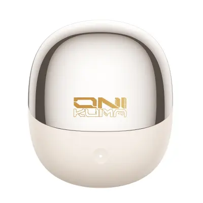 TWS bežične slušalice 2.4G+Bluetooth 5.4 ANC, USB-C, IPX4 Gold