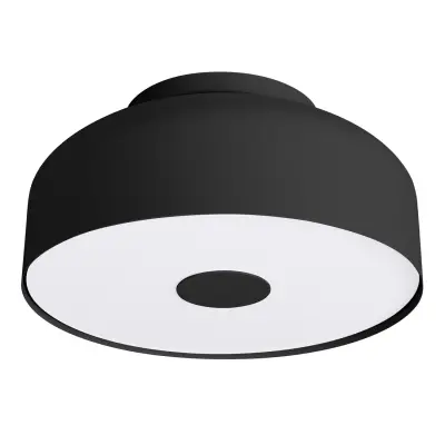 Stropna lampa OMIQ crna