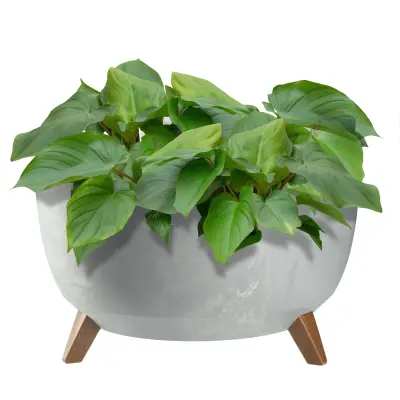 cvetlični lonec 47 cm pokron + vstavljive noge stajalo za rože iz plute, sivo
