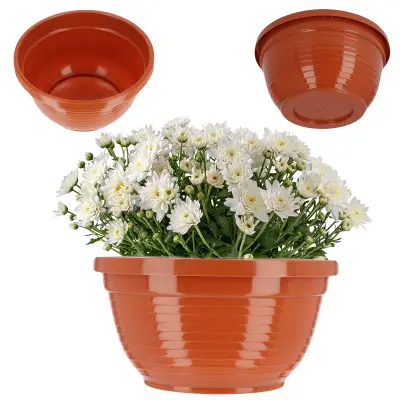 cvetlični lonček za pokopališče plastični nagrobnik skleda križanteme 22 cm