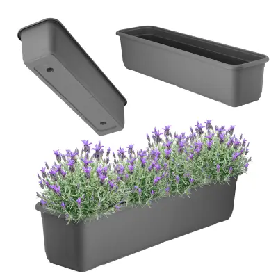 Balkonski lonec 60 cm Cvetlični lonec Balkonsko stojalo za rože Antracit
