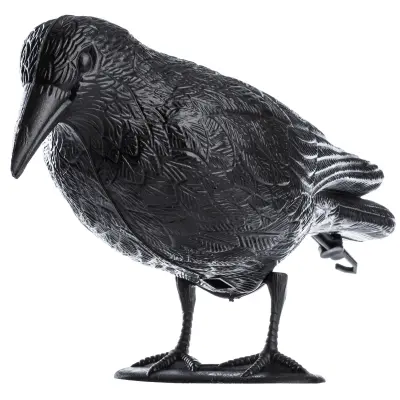 Raven odganjalec ptic, golobi, škorci, veliki, za balkonske golobe, ptice XXL