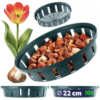 Korpa za cvijeće, 18 cm, 10 kosov