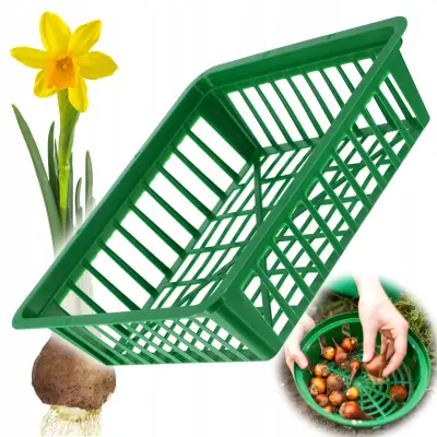 Košara za saželice, cvetlične saželice, tulipane, pokorke za sajenje, 28 cm