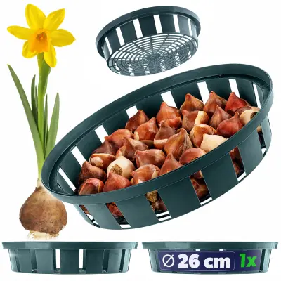 Košara za sajelice, cvetne sajelice, tulipane, pokorke za sajenje, 22 cm
