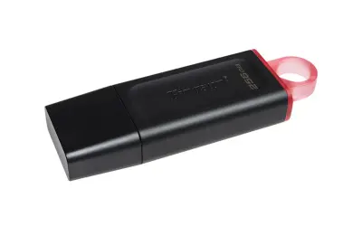 USB STICK KINGSTON FD Exodia 256GB USB 3.2