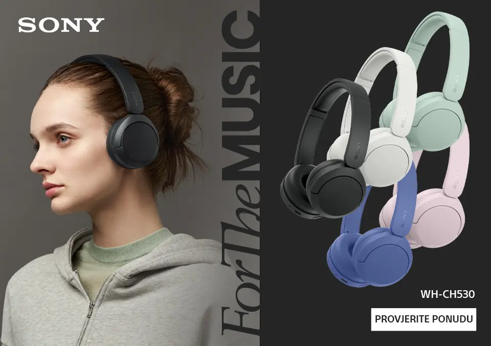 Sony WH-CH530N